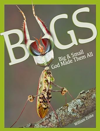 bugs big and small god made them all 1st edition william zinke 0890518351, 978-0890518359