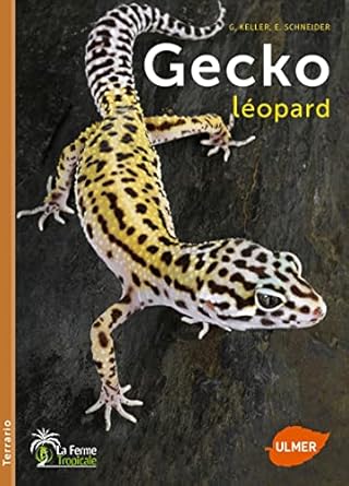 gecko leopard 1st edition gerti keller ,eva grit schneider 2841386929, 978-2841386925