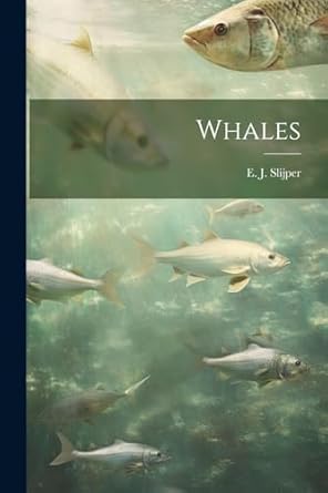 whales 1st edition e j 1907 1968 slijper 102149626x, 978-1021496263