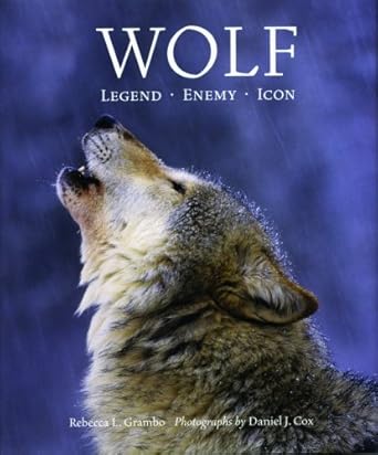 wolf legend enemy icon 1st edition rebecca grambo ,daniel cox 155407388x, 978-0718147709