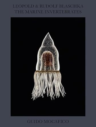 guido mocafico leopold and rudolf blaschka the marine invertebrates 1st edition patrick remy ,guido mocafico