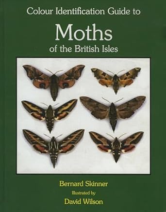 colour identification guide to the moths of the british isles macrolepidoptera 3rd 1st edition bernard