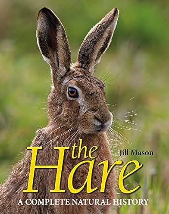 the hare 1st edition jill mason ,david mason 1910723932, 978-1910723937