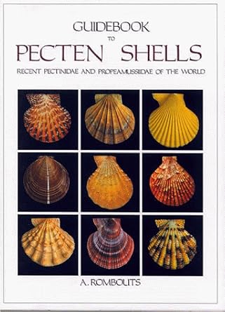 guidebook to pecten shells 1st edition a rombouts ,henry e coomans ,henk h dijkstra ,robert g moolenbeek
