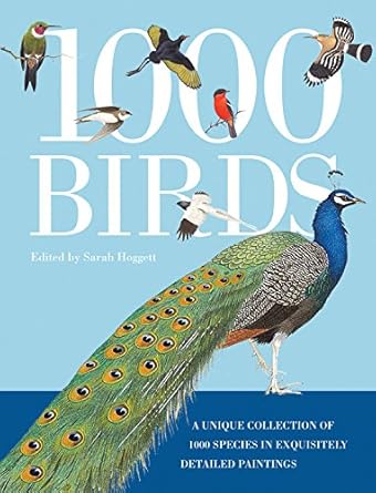 1 000 birds a unique collection of 1 000 species in exquisitely detailed paintings 1st edition sarah hoggett