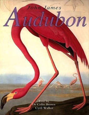 john james audubon american birds 1st edition colin brown ,cyril walker 0517161176, 978-0517161173