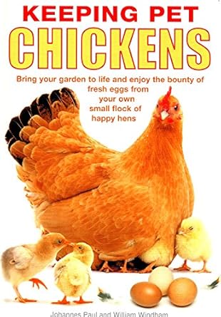 keeping pet chickens bring your garden to life and enjoy the bounty of fresh eggs from your own small flock