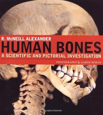 human bones a scientific and pictorial investigation 1st edition r mcneill alexander ,aaron diskin