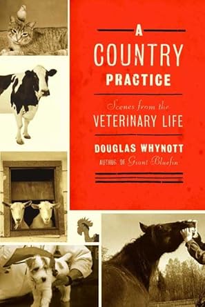 a country practice scenes from the veterinary life 1st edition douglas whynott 0865476470, 978-0865476479