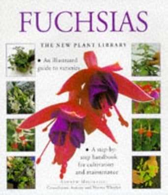 fuchsias 1st edition andrew mikolajski 1859673872, 978-1859673874