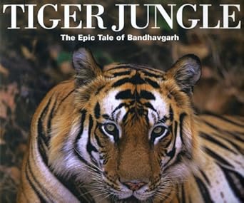 tiger jungle the epic tale of bandhavgarh 1st edition iain green 0954311523, 978-0954311520
