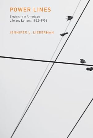 power lines electricity in american life and letters 1882 1952 1st edition jennifer l lieberman 0262036371,