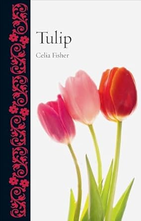 tulip 1st edition celia fisher 1780237596, 978-1780237596