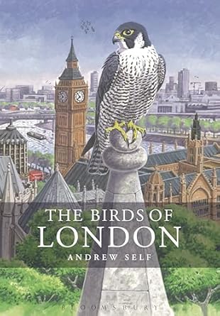 the birds of london 1st edition andrew self 1399430912, 978-1399430913