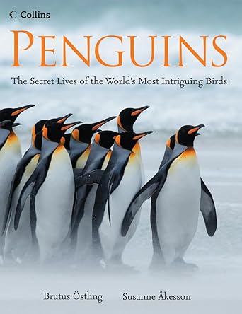 penguins 1st edition brutus ostling susanne akesson 0007247443, 978-0007247448