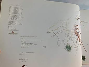 the nest an artists sketchbook 1st edition maryjo koch 1556708823, 978-1556708824