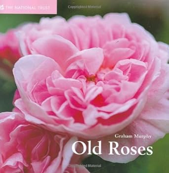 old roses 1st edition graham murphy 1905400047, 978-1905400041