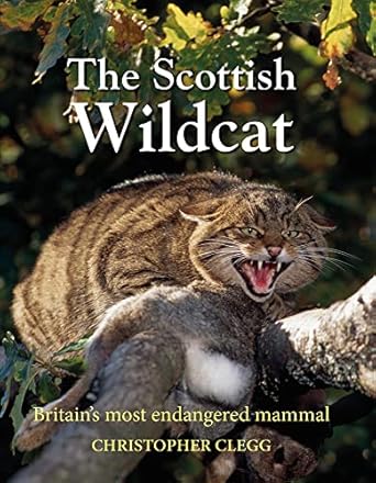 the scottish wildcat 1st edition christopher clegg 191072341x, 978-1910723418