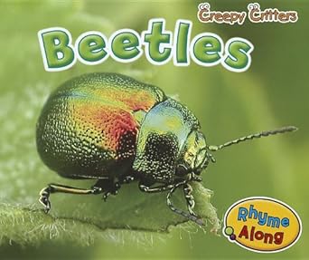 beetles 1st edition rebecca rissman 1410948161, 978-1410948168