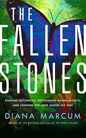 the fallen stones chasing butterflies discovering mayan secrets and looking for hope along the way 1st