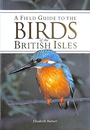birds of the british isles 1st edition parragon 1405443928, 978-1405443920