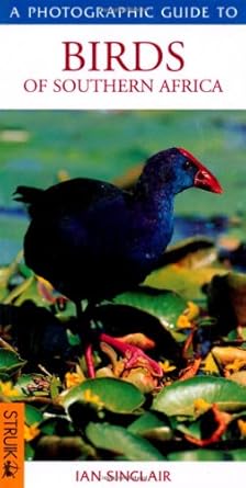 photographic guide birds of southern africa 1st edition ian sinclaire 1770070834, 978-1770070837