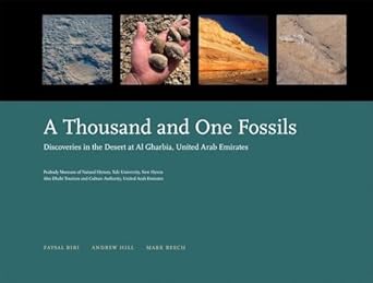 a thousand and one fossils discoveries in the desert at al gharbia united arab emirates 1st edition faysal