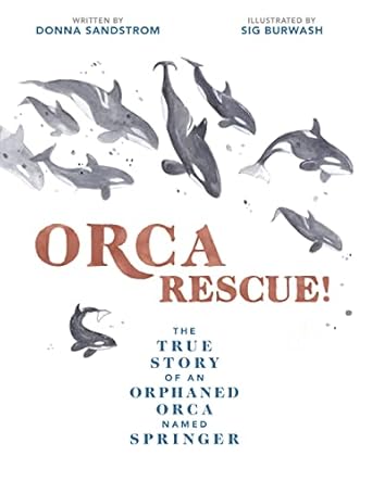 orca rescue the true story of an orphaned orca named springer 1st edition donna sandstrom ,sig burwash