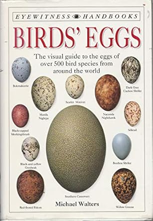 birds eggs 1st edition michael walters ,mark b robbins ,harry taylor 1564581756, 978-1564581754