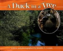 a duck in a tree 1st edition jennifer a loomis 088045136x, 978-0880451369