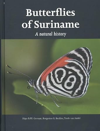 butterflies of suriname a natural history 1st edition hajo b p e gernaat ,borgesius g beckles ,tinde van