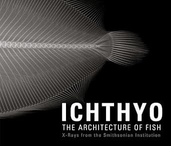 ichthyo the architecture of fish 1st edition deborah klochko ,stephanie comer ,jean michel cousteau ,dr