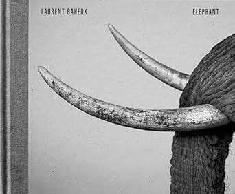 elephant 1st edition laurent baheux ,romain gary 2490952226, 978-2490952229