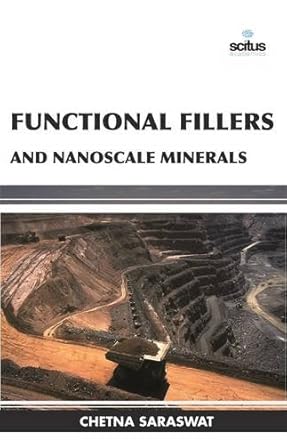 functional fillers and nanoscale minerals 1st edition chetna saraswat 1681174847, 978-1681174846