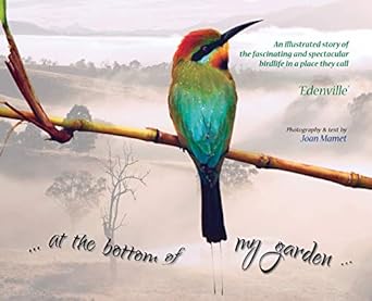 at the bottom of my garden an illustrated story of the fascinating and spectacular birdlife in a place called
