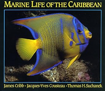 marine life of the caribbean 1st edition jacques cousteau ,james cribb ,thomas h suchanek 0195406168,
