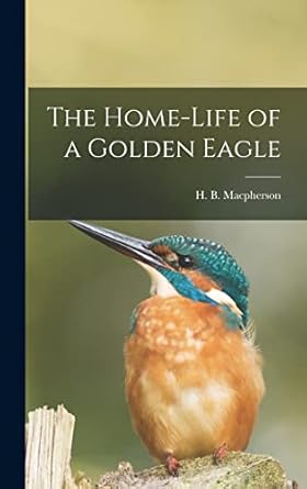 the home life of a golden eagle 1st edition h b macpherson 1017337675, 978-1017337679