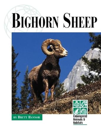 endangered animals and habitats bighorn sheep 1st edition brett bannor 1560068876, 978-1560068877