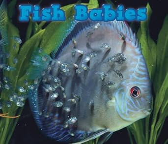 fish babies 1st edition catherine veitch 1406259241, 978-1406259247