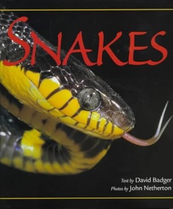 snakes 1st edition david badger ,john netherton 1840371331, 978-1840371338