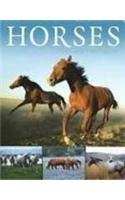 horses myth and fascination 1st edition susanne sgrazzutti ,jurgen schulzki 140750598x, 978-1407505985