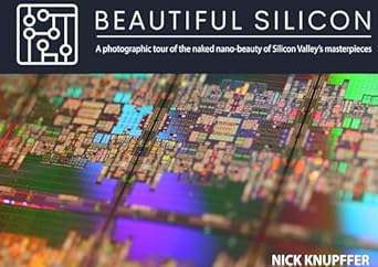 Beautiful Silicon