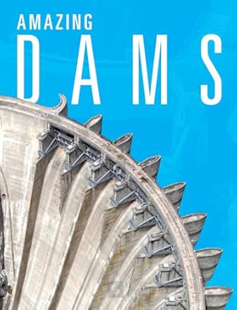 amazing dams 1st edition joanne mattern 1632357895, 978-1632357892