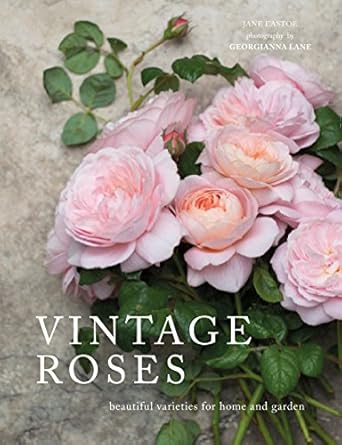 vintage roses beautiful varieties for home and garden 1st edition jane eastoe ,georgianna lane 1423646711,