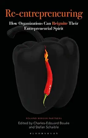 re entrepreneuring how organizations can reignite their entrepreneurial spirit 1st edition charles edouard
