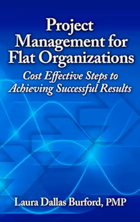 project management for flat organizations cost effective steps to achieving successful results 1st edition