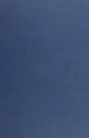 capital the state and labour a global perspective 1st edition juliet schor ,jong ii you 1858982952,