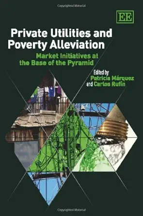 private utilities and poverty alleviation market initiatives at the base of the pyramid 1st edition patricia
