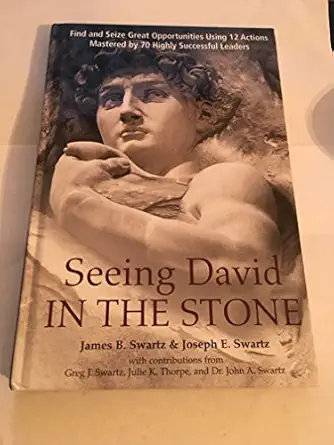seeing david in the stone 1st edition james b swartz ,joseph e swartz 0977945650, 978-0977945658