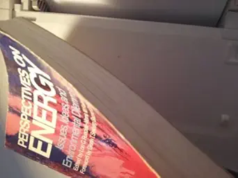 perspectives on energy issues ideas and environmental dilemmas 1st edition lon c ruedisili 019501880x,